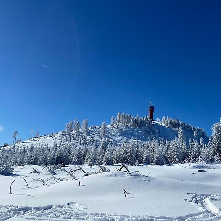 Bergtraum Braunlage Im Harz, 17 Gaeste, Sauna, Pool Villa Kültér fotó