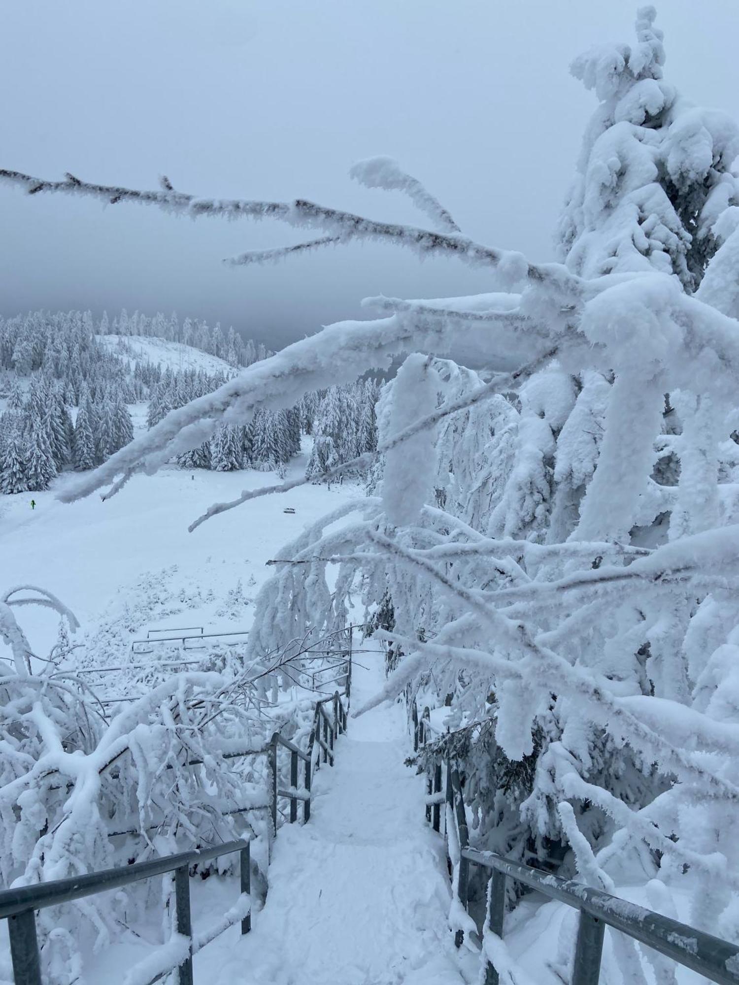 Bergtraum Braunlage Im Harz, 17 Gaeste, Sauna, Pool Villa Kültér fotó